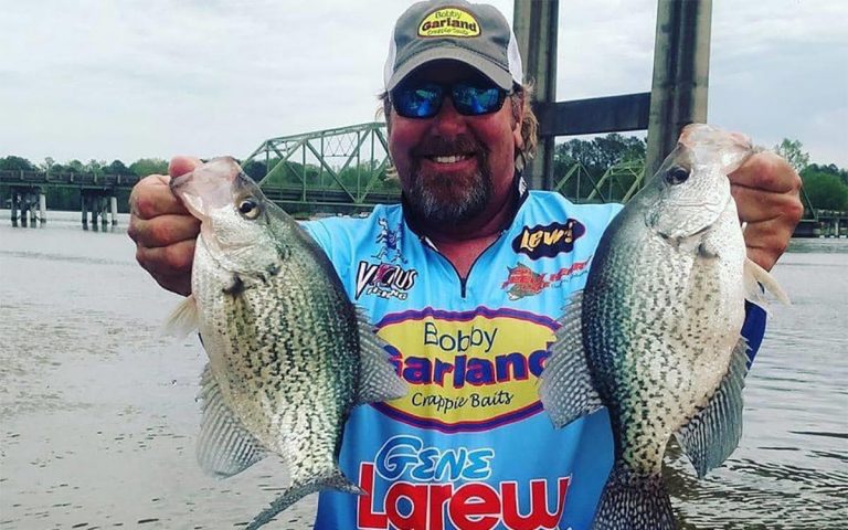 Best Crappie Lakes and Fishing Destinations in America