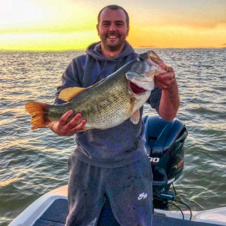 Huge Limit of Bass Caught on Kentucky Lake