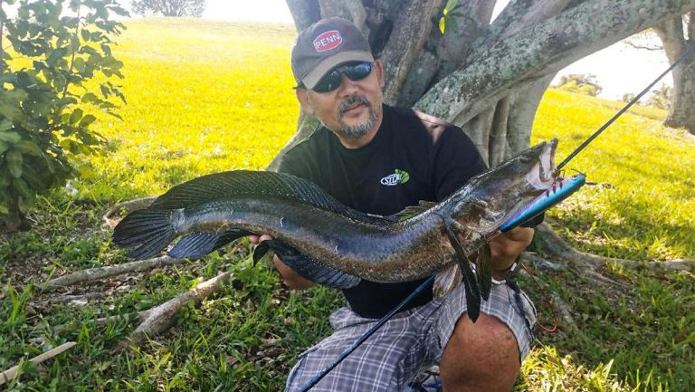 Bucket List Fishing Trip: Head South for Tropical Exotics