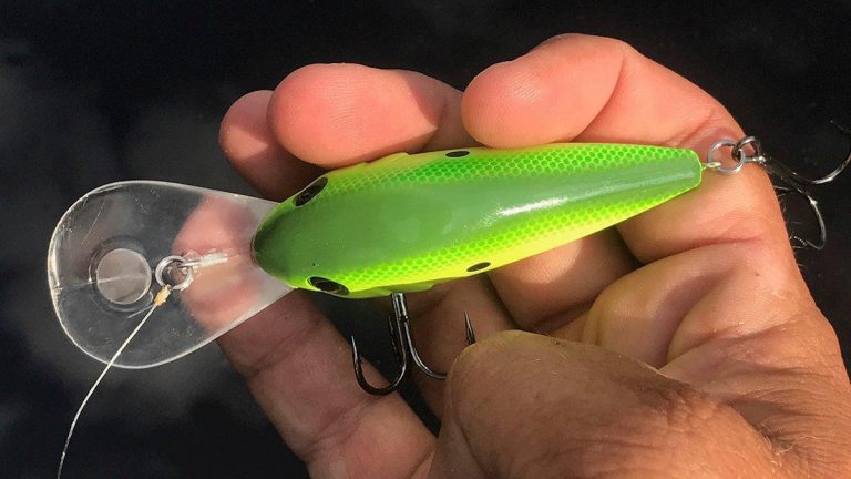 Berkley Dredger Crankbait Review