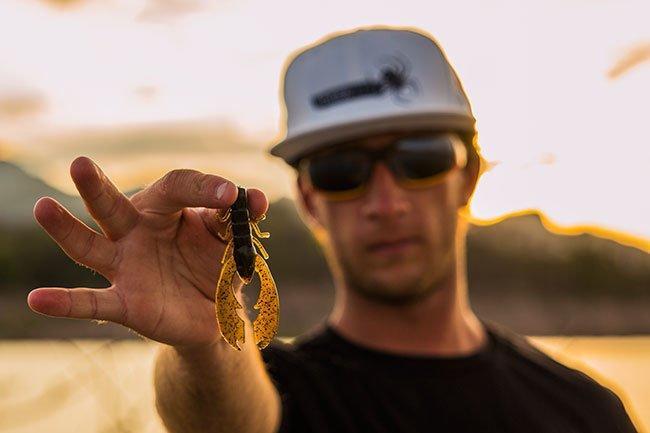 How to Dissect Standing Timber for Bass