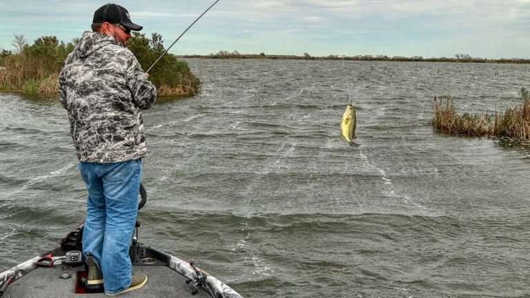 How to Fish Funnels for Bass Effectively