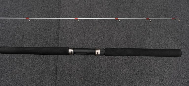 Best Crappie Fishing Jigging Rods for 2023