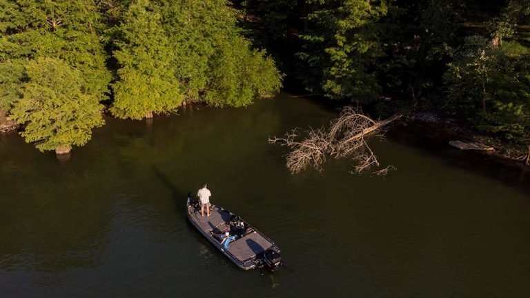 Frog Fishing for Shallow Clear Water Bass