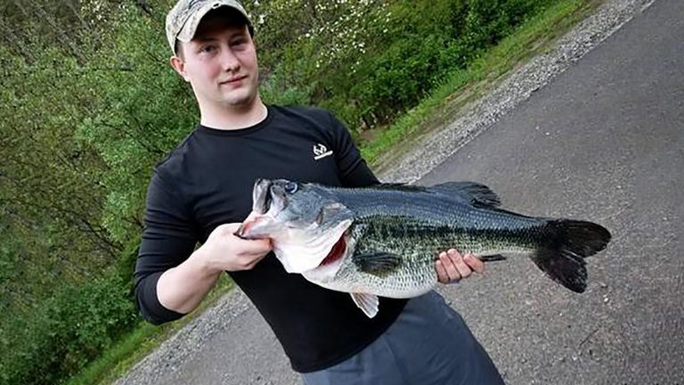 34 of the Biggest State Record Largemouth Bass