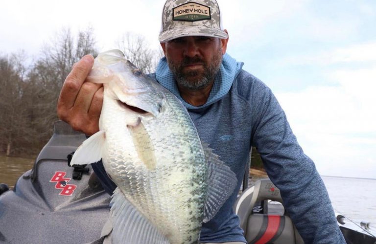 Best Crappie Lakes and Fishing Destinations in America