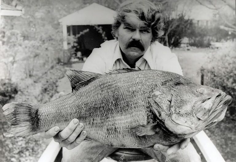 34 of the Biggest State Record Largemouth Bass