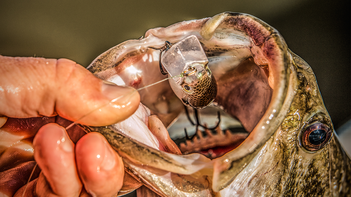 crankbait in bass mouth