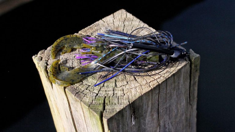 5 Best Options for Bass Fishing Lily Pads