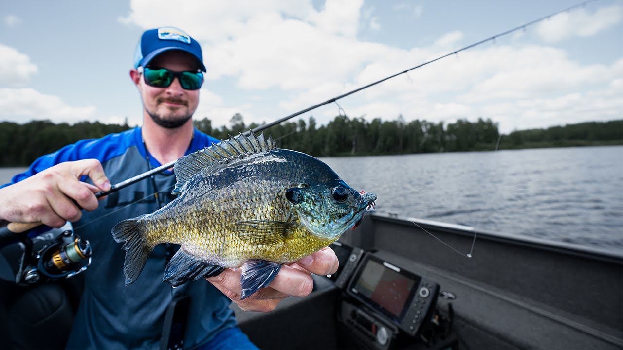 bluegill fishing