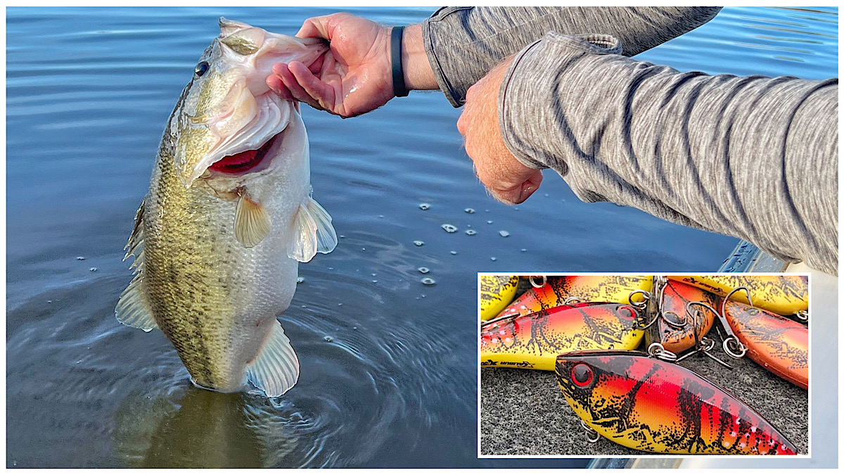 big bass with lipless crankbaits