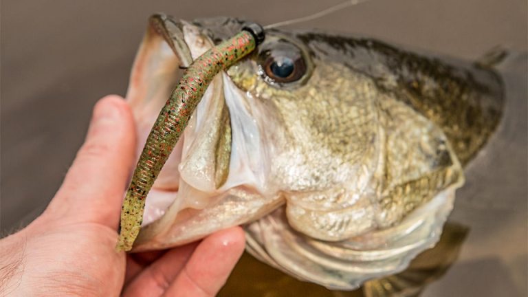 3 Easy Ways to Shore Up Your Bank Fishing Game