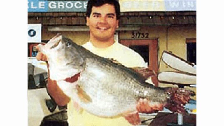 34 of the Biggest State Record Largemouth Bass