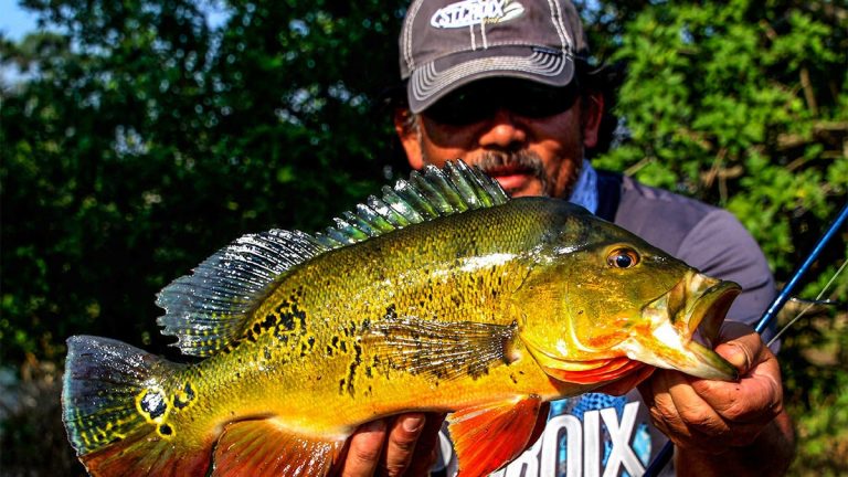 Bucket List Fishing Trip: Head South for Tropical Exotics