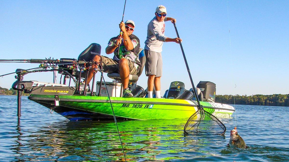 spider rigging crappie josh gowan