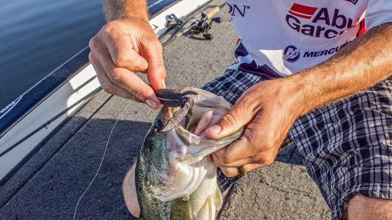 An Overlooked Shallow-Water Strategy for Summer Bass