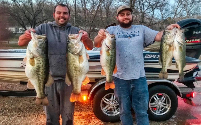 Huge Limit of Bass Caught on Kentucky Lake