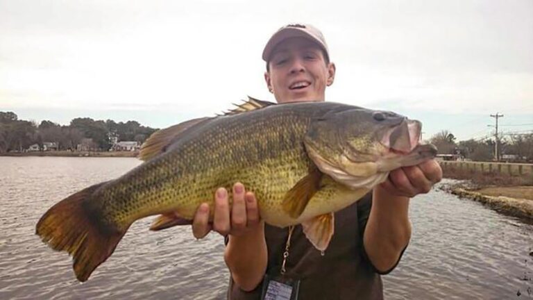 34 of the Biggest State Record Largemouth Bass