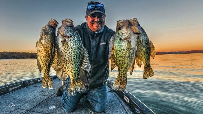 Best Crappie Lakes and Fishing Destinations in America