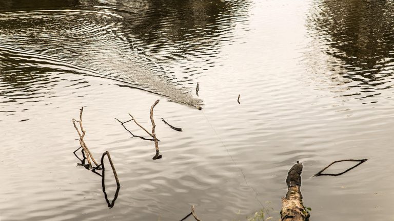 5 Tips for Bank Fishing in Low-Water Conditions