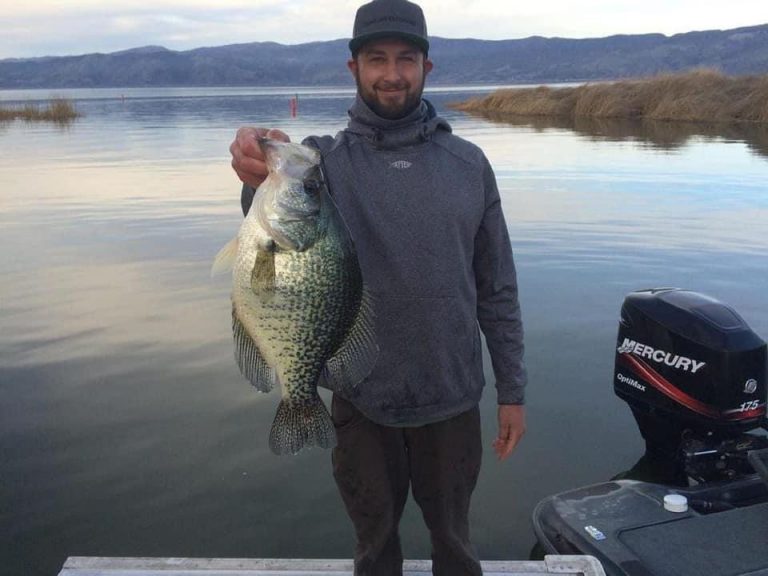 Best Crappie Lakes and Fishing Destinations in America