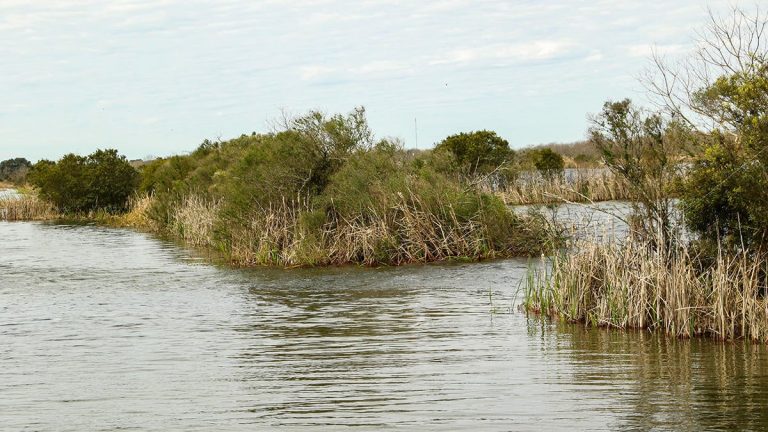 How to Fish Funnels for Bass Effectively