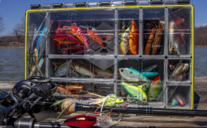 Buzbe Colony 28D Deep Modular Tackle Box Review