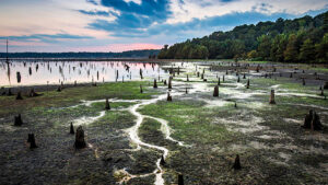 MLF Bass Pro Tour Angler Disqualified for Rules Violation