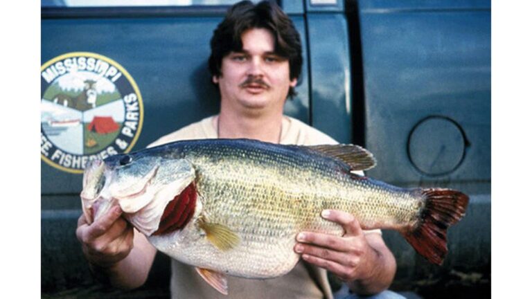 34 of the Biggest State Record Largemouth Bass