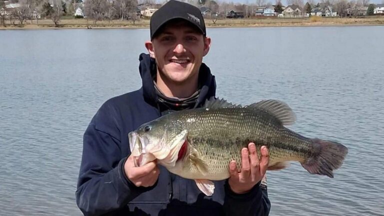 34 of the Biggest State Record Largemouth Bass