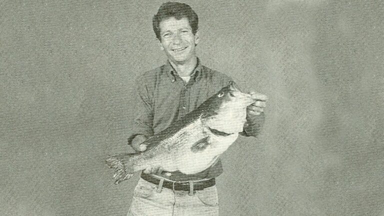 34 of the Biggest State Record Largemouth Bass