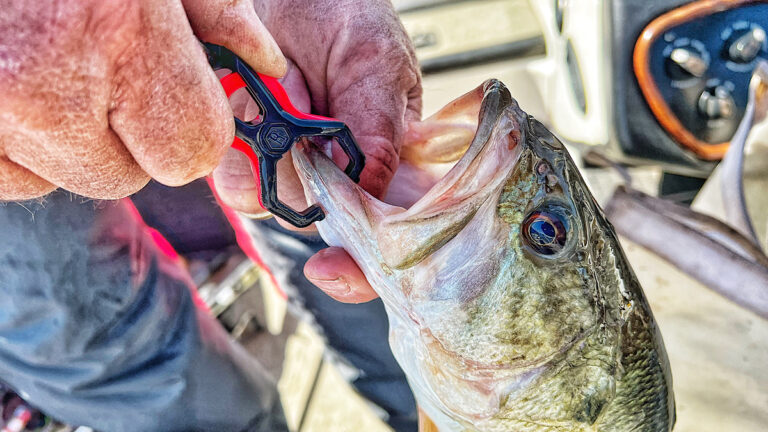 Rapala Lip Grip Cull Tags Review