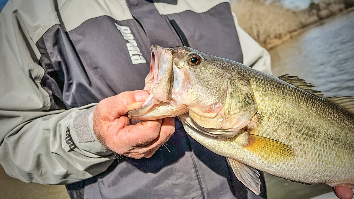 bass being held by angler wearing a rainsuit