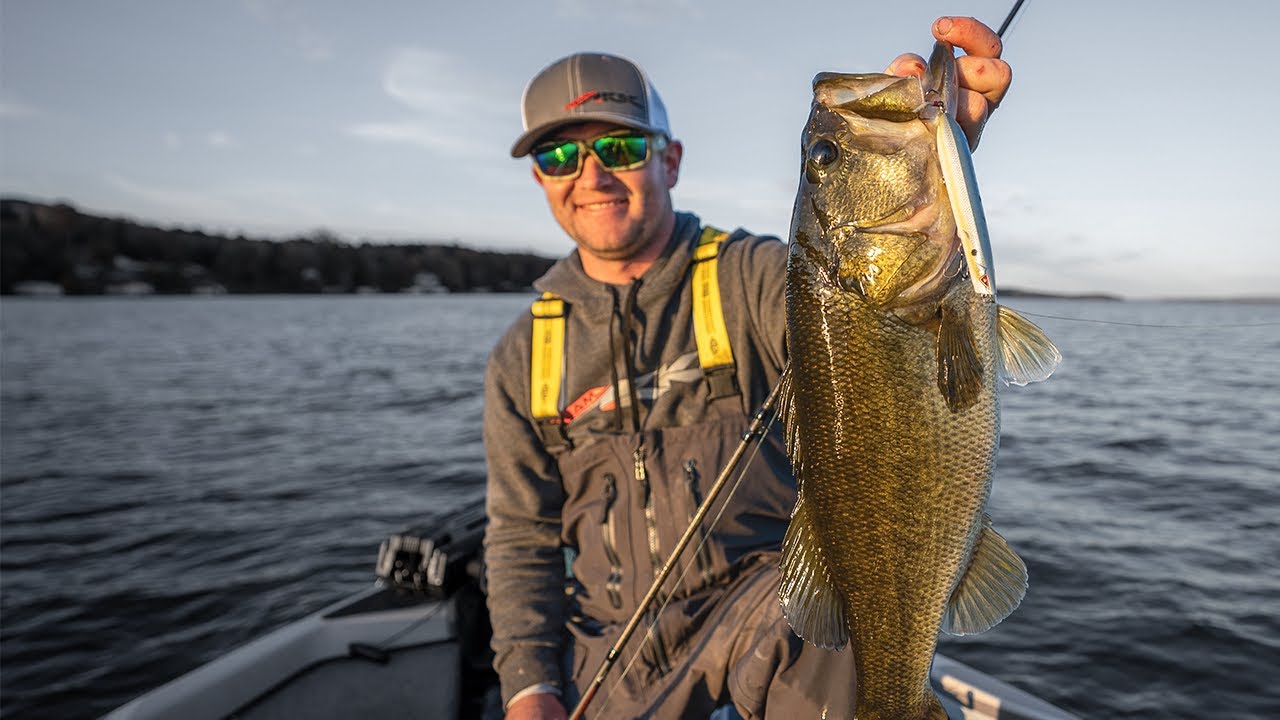 schooling bass