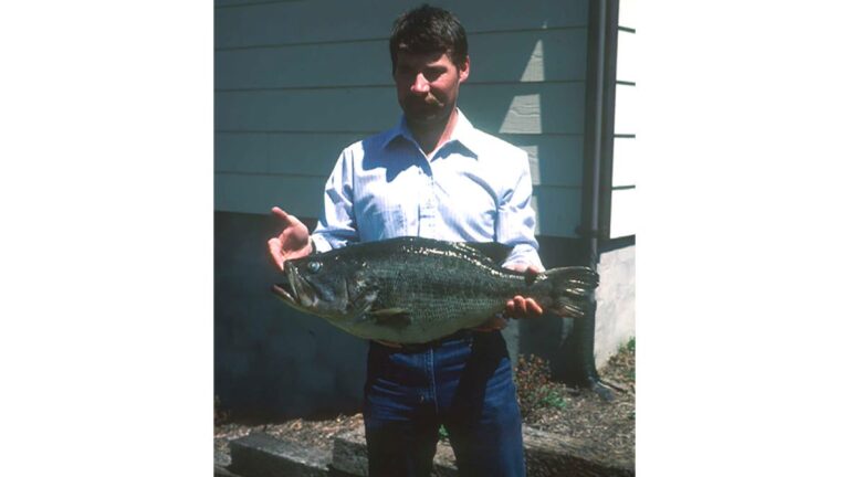 34 of the Biggest State Record Largemouth Bass